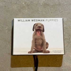 William Wegman Puppies Collectible Postcards in Box NOTE: 34 Postcards incl.